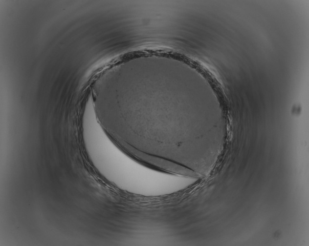 X0000094430920200711211429