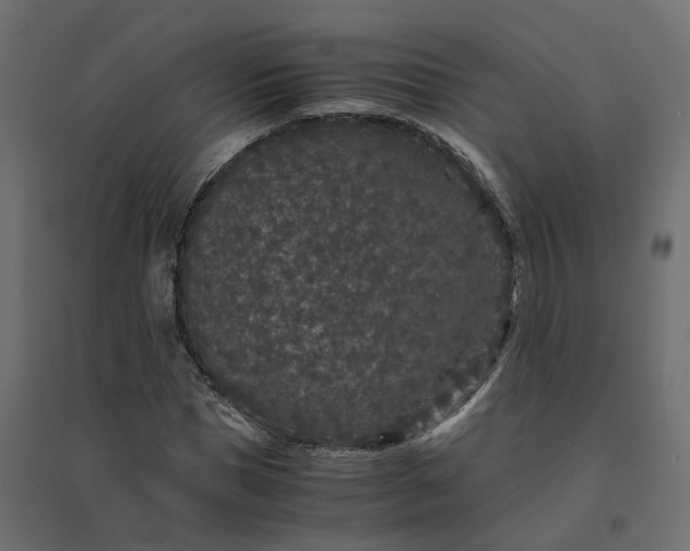 X0000094430921200711211429