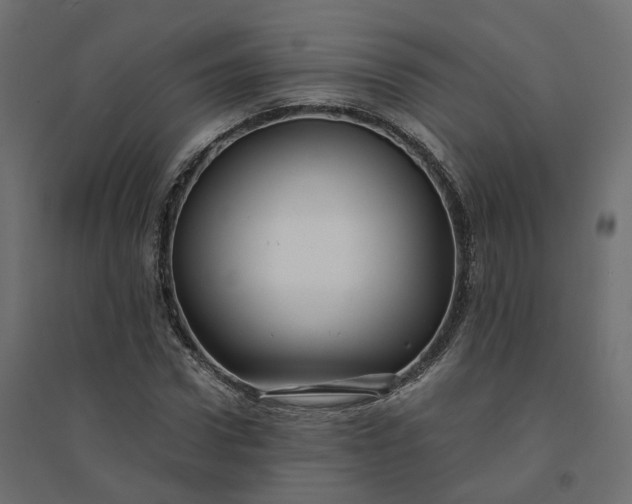X0000094430922200711211429