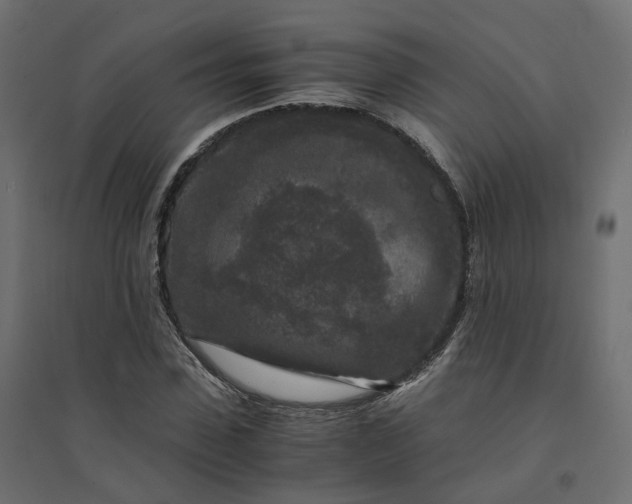 X0000094430923200711211429