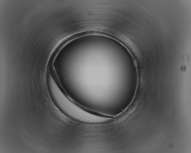 X0000094430924200711211429