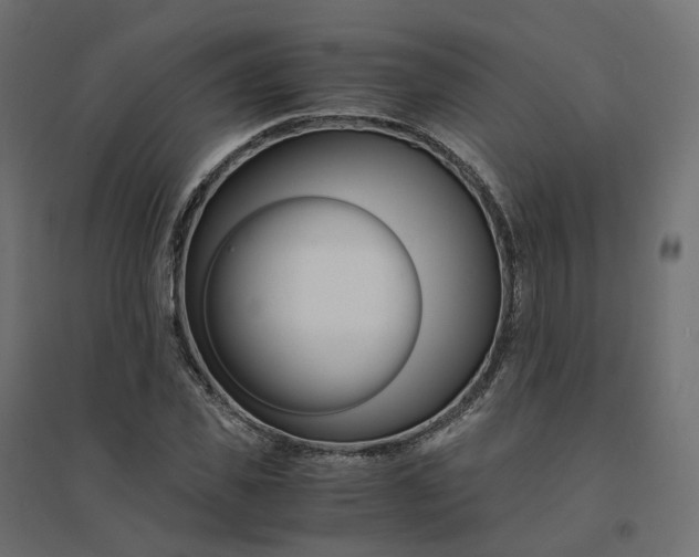 X0000094430925200711211429