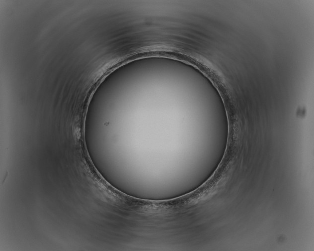 X0000094430929200711211429