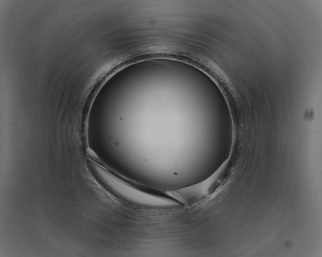 X0000094430930200711211429