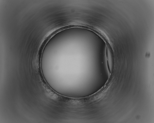 X0000094430931200711211429