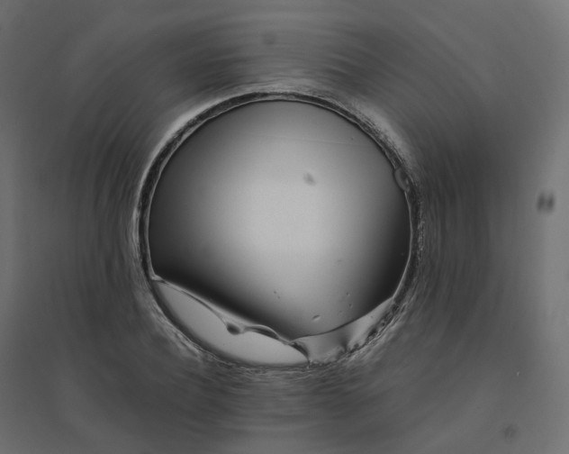 X0000094430932200711211429