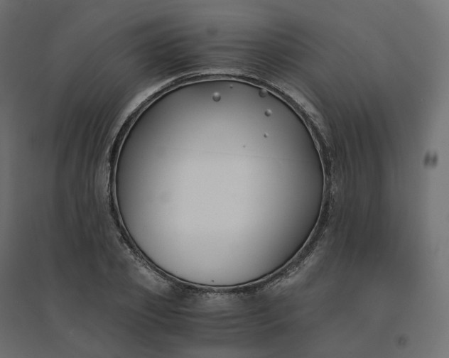 X0000094430933200711211429