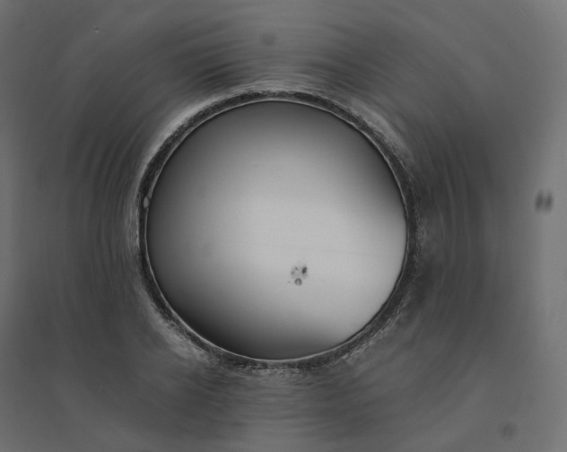 X0000094430934200711211429