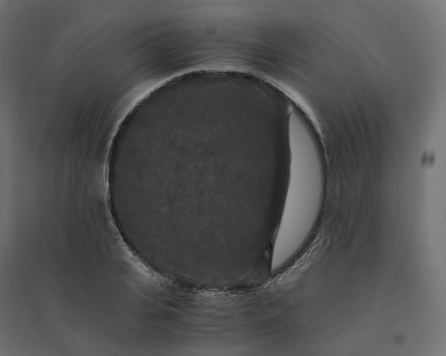X0000094430935200711211429