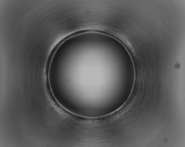 X0000094430936200711211429