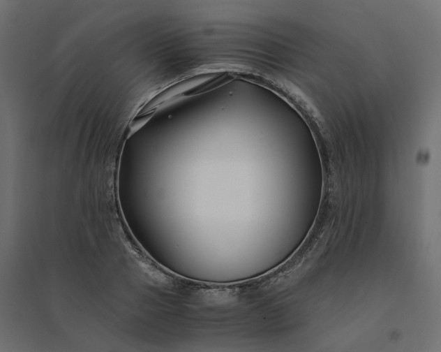 X0000094430937200711211429