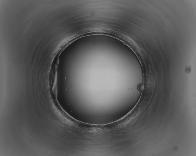 X0000094430938200711211429