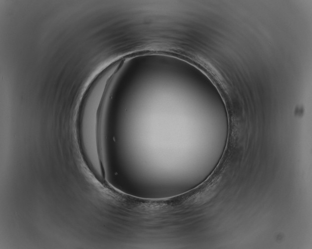 X0000094430939200711211429
