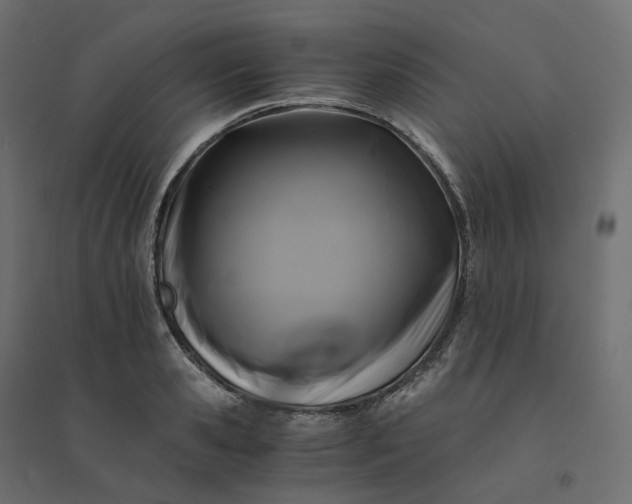 X0000094430941200711211429