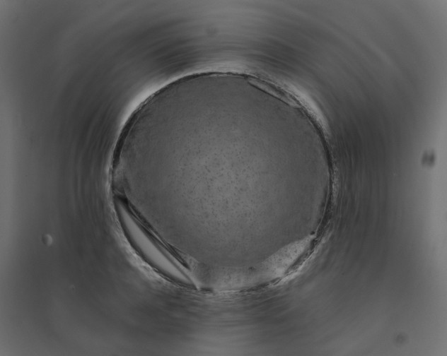 X0000094430944200711211429