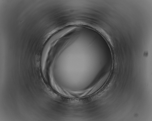 X0000094430945200711211429