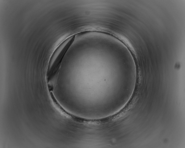 X0000094430946200711211429