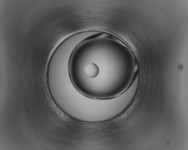 X0000094430948200711211429