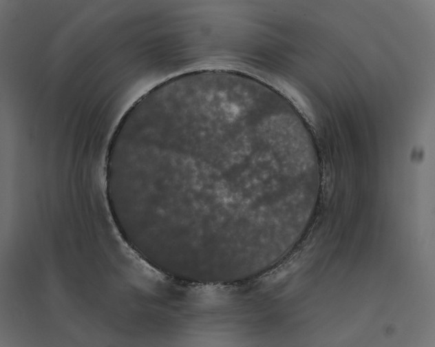 X0000094430950200711211429