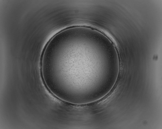 X0000094430951200711211429