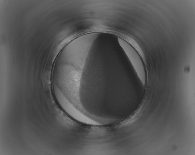 X0000094430954200711211430