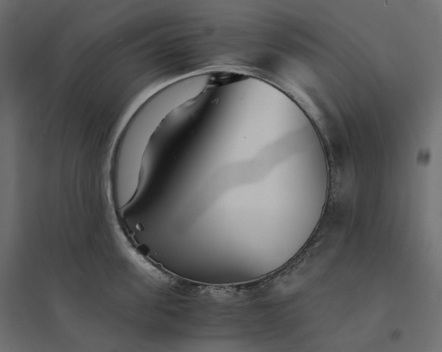 X0000094430955200711211430