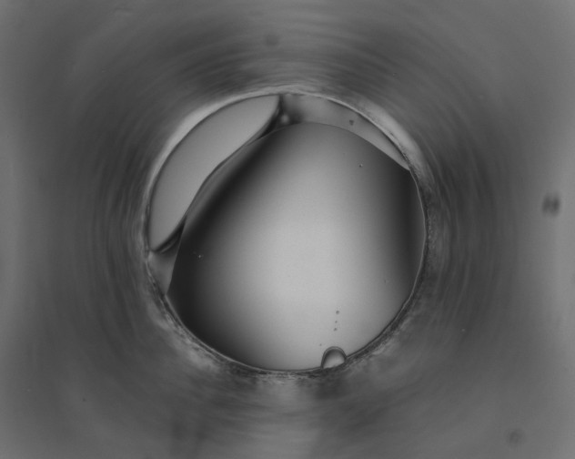 X0000094430956200711211430