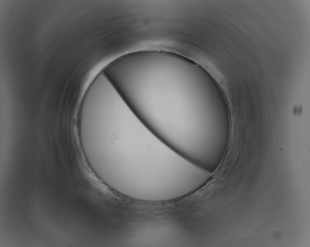 X0000094430960200711211430