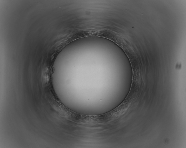 X0000094430962200711211429