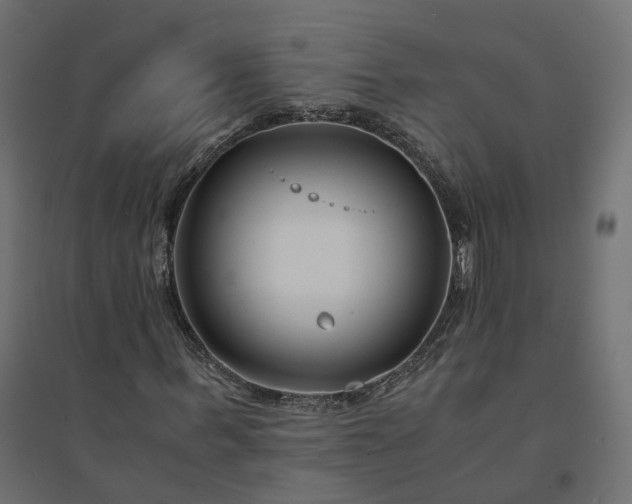 X0000094430963200711211429
