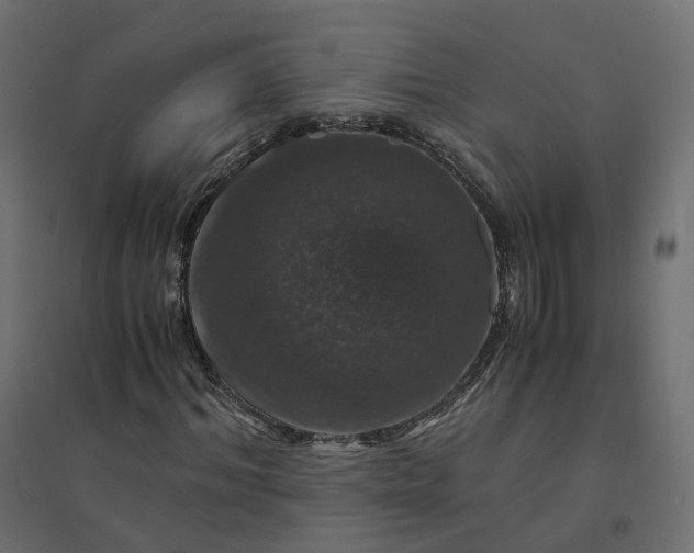 X0000094430964200711211429