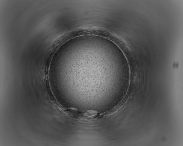 X0000094430966200711211429