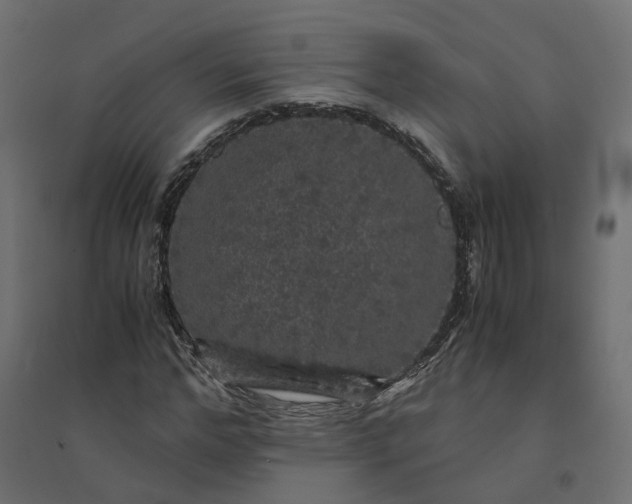 X0000094430968200711211429