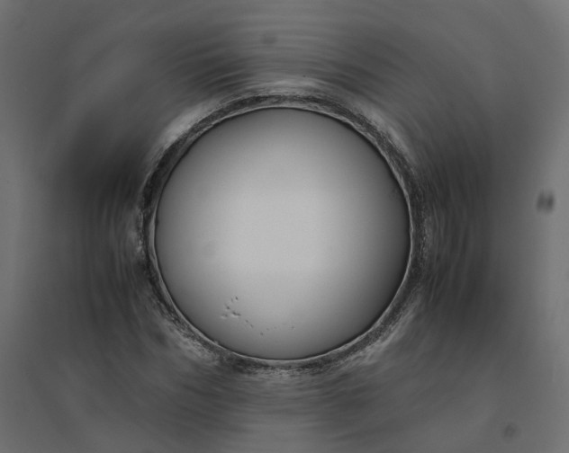 X0000094430970200711211429