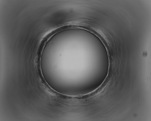 X0000094430971200711211429