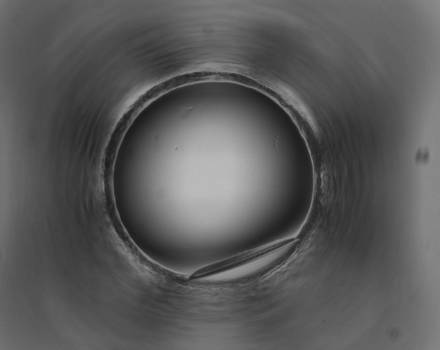 X0000094430972200711211429