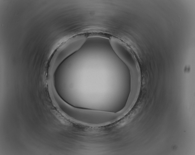 X0000094430973200711211429