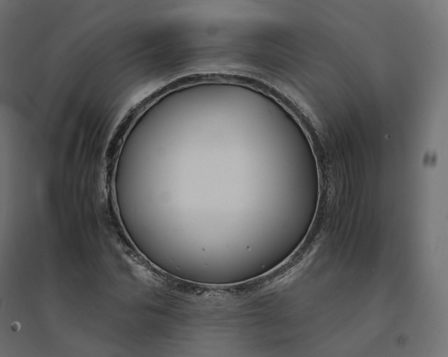 X0000094430974200711211429