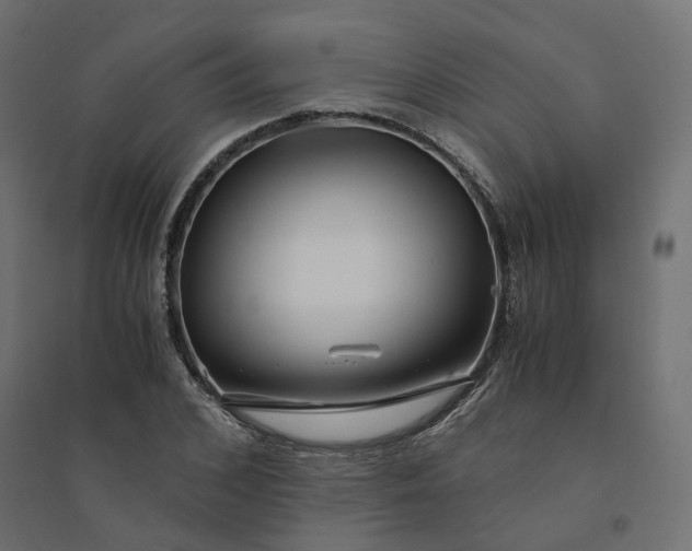 X0000094430976200711211429