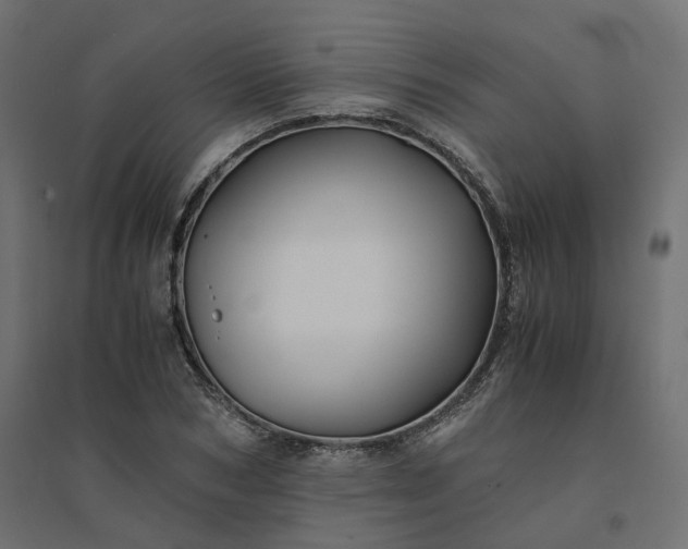 X0000094430978200711211429