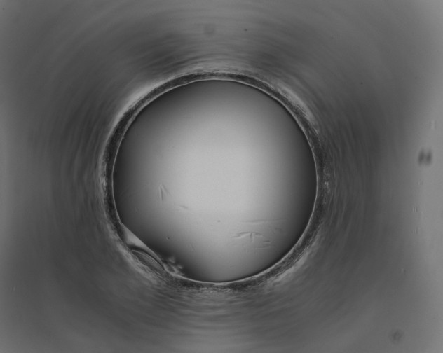 X0000094430981200711211429