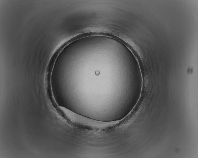 X0000094430983200711211429