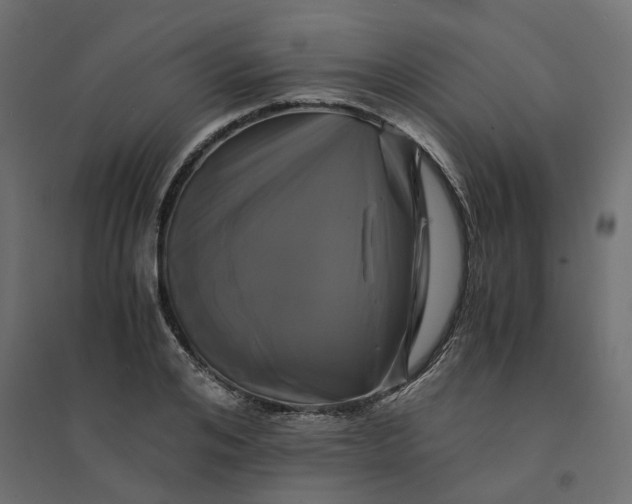 X0000094430984200711211429