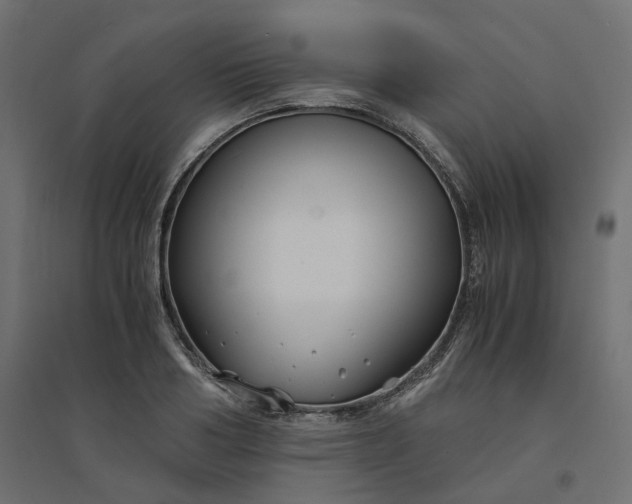 X0000094430986200711211429