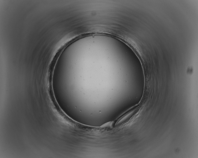 X0000094430987200711211429