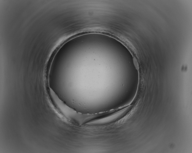 X0000094430989200711211429