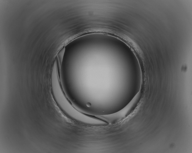 X0000094430993200711211428