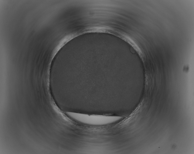 X0000094430994200711211428