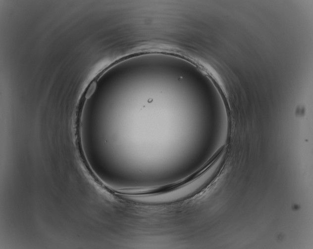X0000094430997200711211428