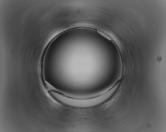 X0000094430999200711211428